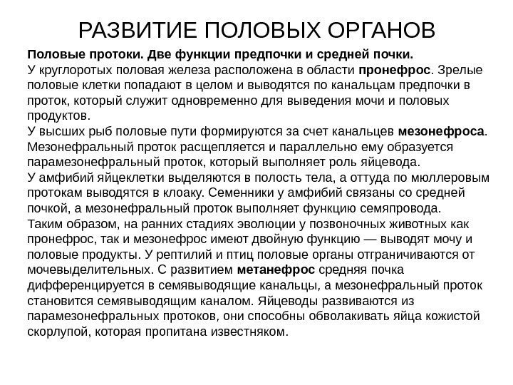 РАЗВИТИЕ ПОЛОВЫХ ОРГАНОВ Половые протоки. Две функции предпочки и средней почки.  У круглоротых