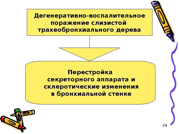 29 Дегенеративно-воспалительное поражение слизистой трахеобронхиального дерева Перестройка  секреторного аппарата и  склеротические изменения