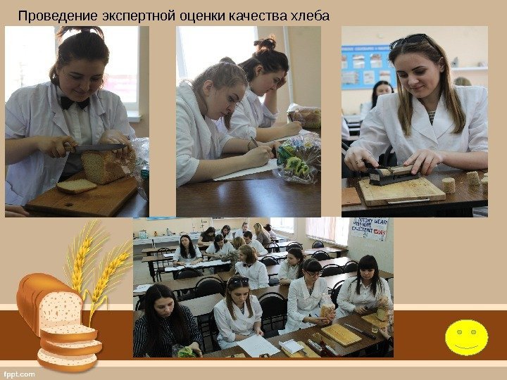 Проведение экспертной оценки качества хлеба 