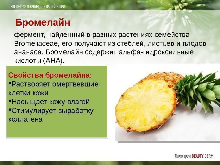 Бромелайн фермент, найденный в разных растениях семейства Bromeliaceae, его получают из стеблей, листьев и
