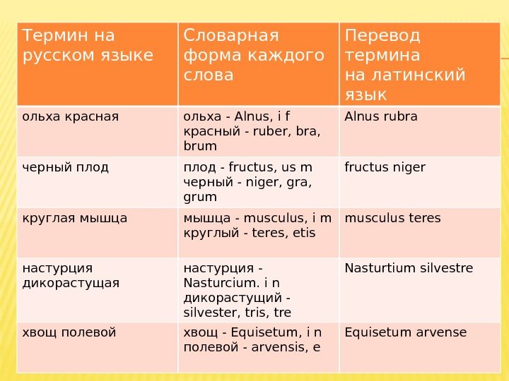 Термин на русском языке Словарная форма каждого слова Перевод термина на латинский язык ольха