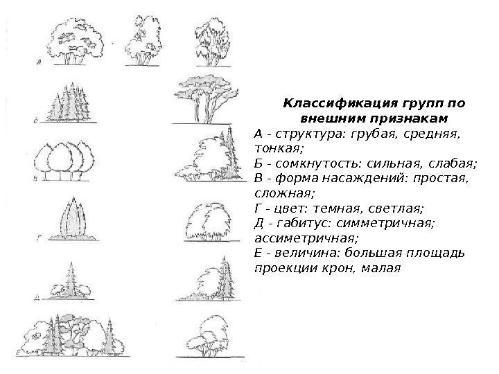 Классификация групп по внешним признакам А - структура: грубая, средняя,  тонкая;  Б