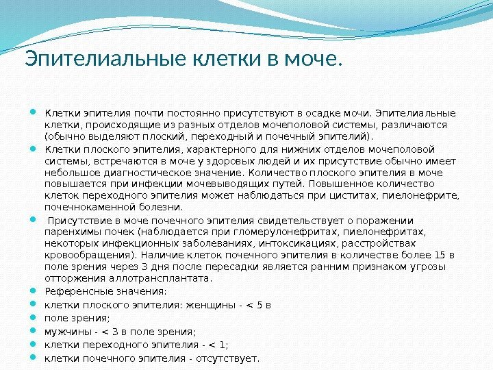 Эпителиальные клетки в моче.  Клетки эпителия почти постоянно присутствуют в осадке мочи. Эпителиальные