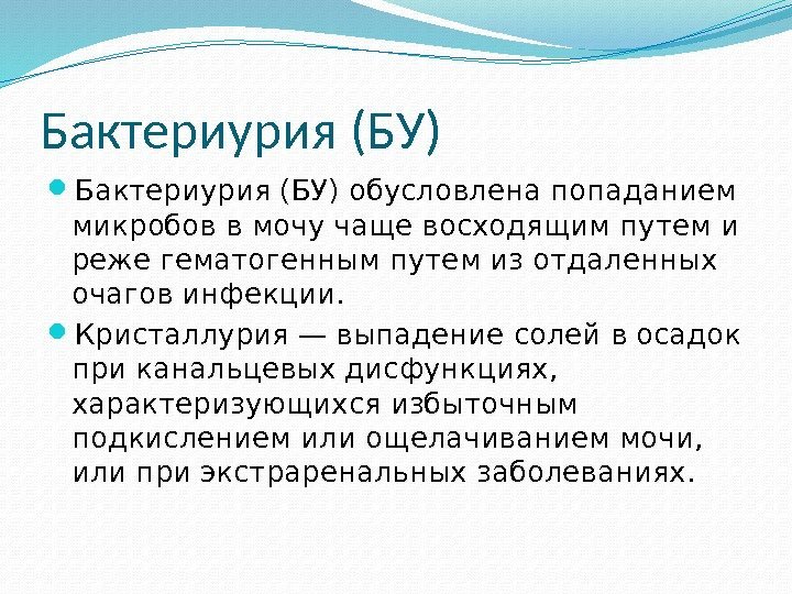 Бактериурия (БУ) обусловлена попаданием микробов в мочу чаще восходящим путем и реже гематогенным путем