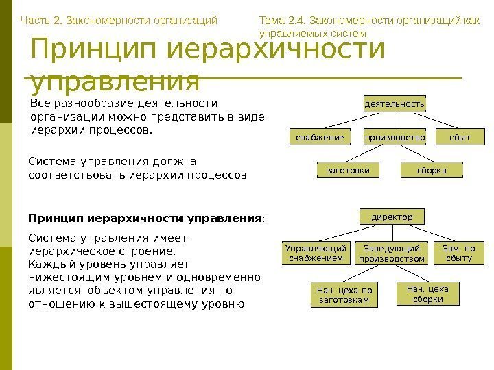 Принцип иерархичности управления Все разнообразие деятельности организации можно представить в виде иерархии процессов. Часть