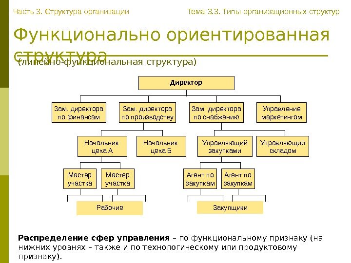   Функционально ориентированная структура Директор Зам. директора по финансам Зам. директора по производству