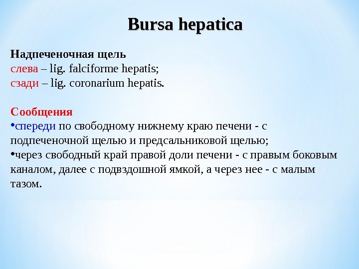 Надпеченочная щель слева – lig. falciforme hepatis ;  сзади – lig. coronarium hepatis.