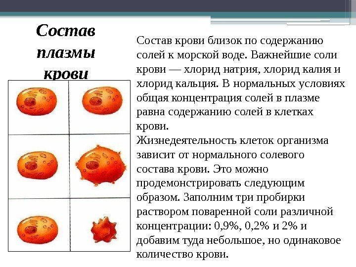 Состав плазмы крови Состав крови близок по содержанию солей к морской воде. Важнейшие соли