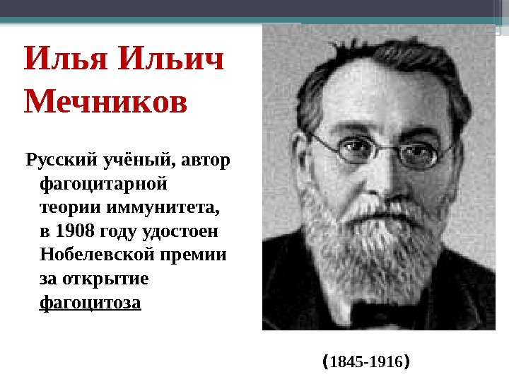 Илья Ильич Мечников Русский учёный, автор фагоцитарной теории иммунитета,  в 1908 году удостоен