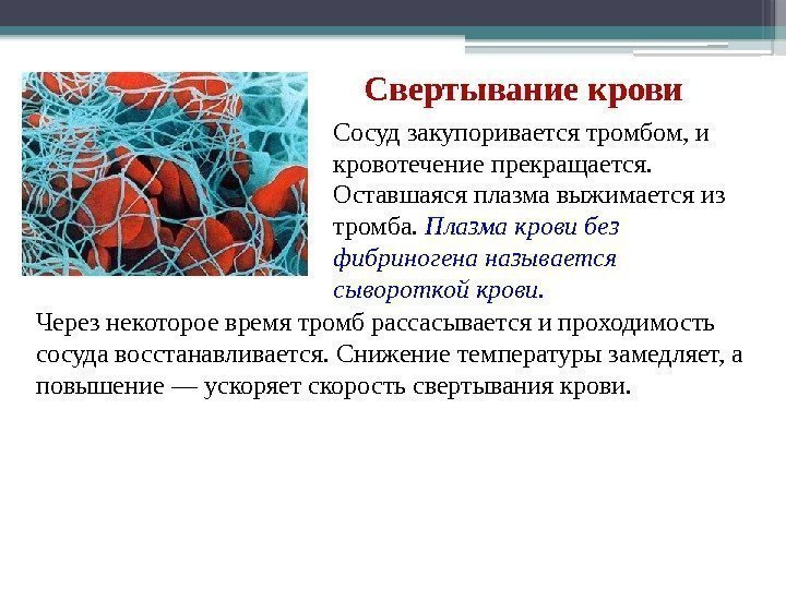 Свертывание крови Через некоторое время тромб рассасывается и проходимость сосуда восстанавливается. Снижение температуры замедляет,