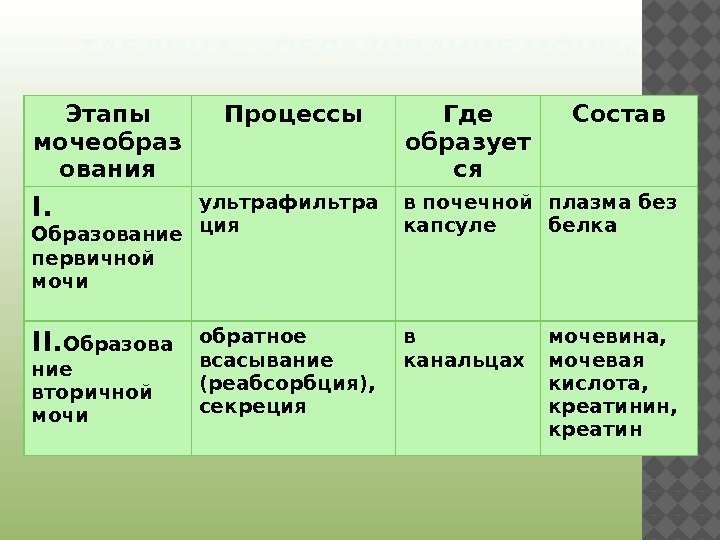 Образование первичной мочи таблица