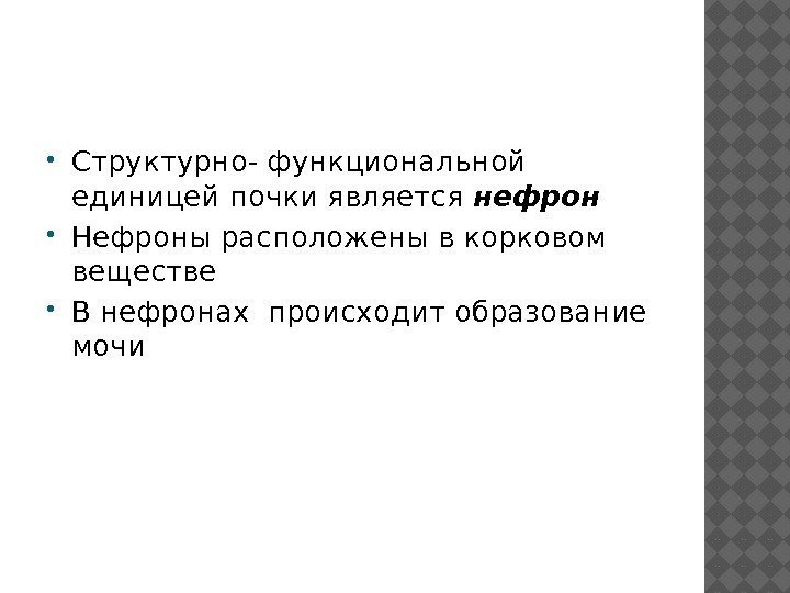  Структурно- функциональной единицей почки является нефрон Нефроны расположены в корковом веществе В нефронах