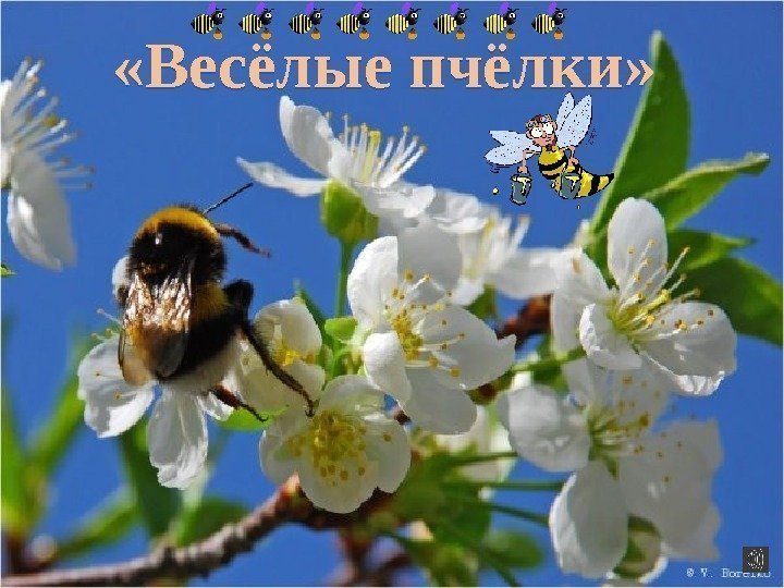  «Весёлые пчёлки» 011008 