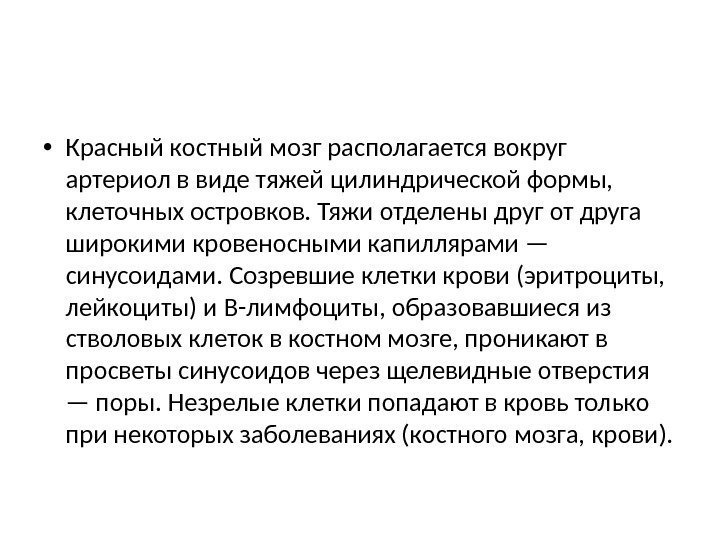  • Красный костный мозг располагается вокруг артериол в виде тяжей цилиндрической формы, 