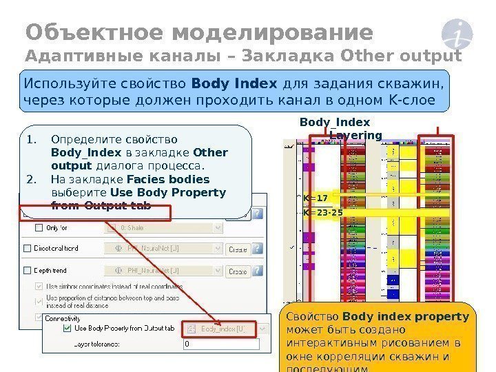Объектное моделирование Адаптивные каналы – Закладка Other output 1. Определите свойство Body_Index в закладке