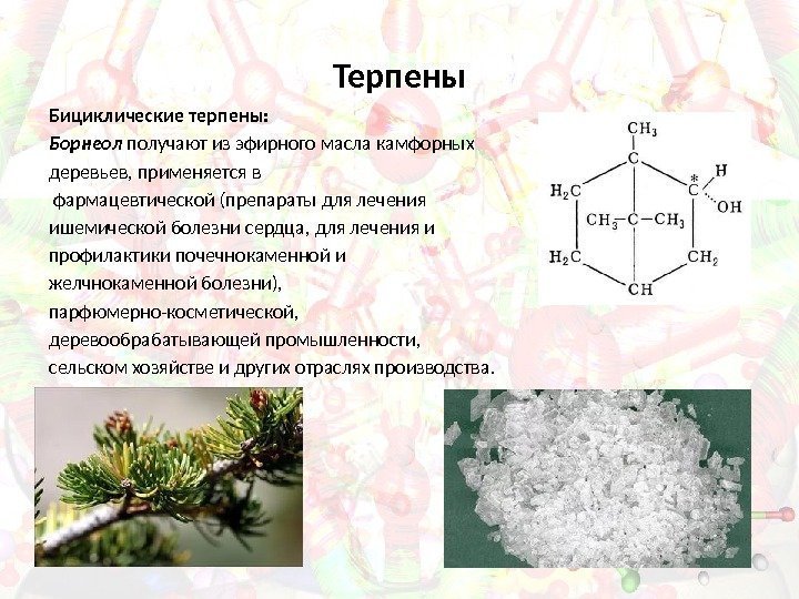 Терпены Бициклические терпены: Борнеол получают из эфирного масла камфорных деревьев, применяется в  фармацевтической