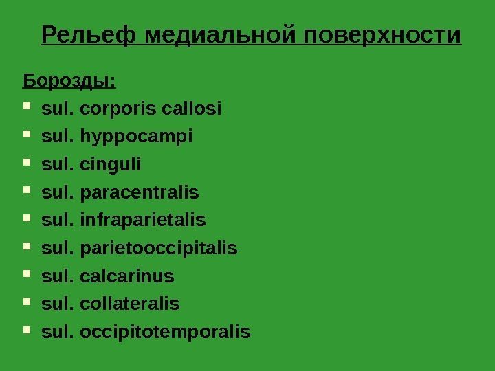 Рельеф медиальной поверхности Борозды:  sul. corporis callosi sul. hyppocampi sul. cinguli sul. paracentralis