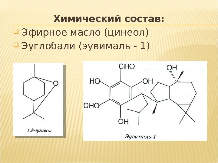Химический состав:  Эфирное масло (цинеол) Эуглобали (эувималь - 1)  