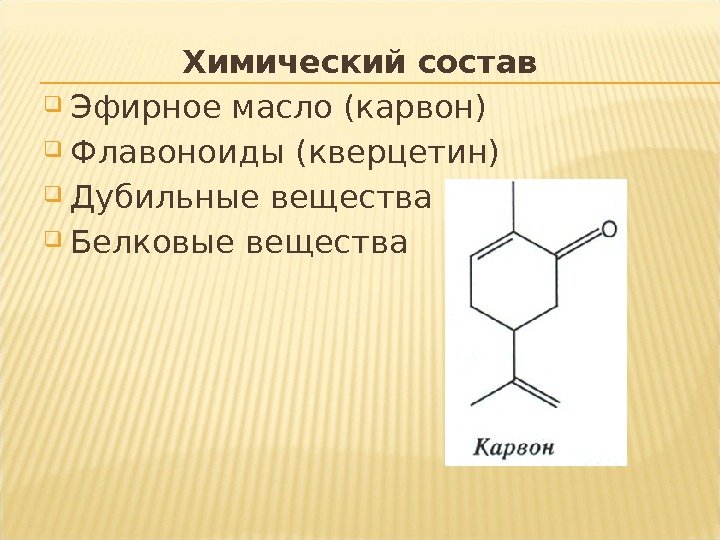 Химический состав Эфирное масло (карвон) Флавоноиды (кверцетин) Дубильные вещества Белковые вещества 
