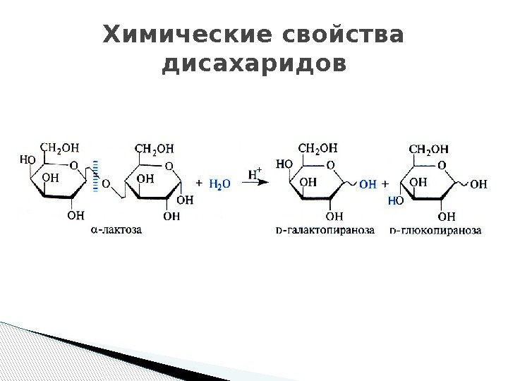 Химические свойства дисахаридов  