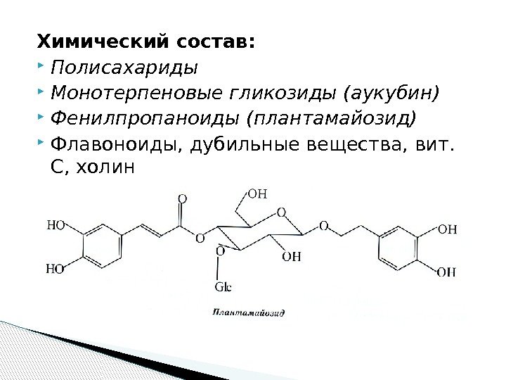 Химический состав:  Полисахариды Монотерпеновые гликозиды (аукубин) Фенилпропаноиды (плантамайозид) Флавоноиды, дубильные вещества, вит. 