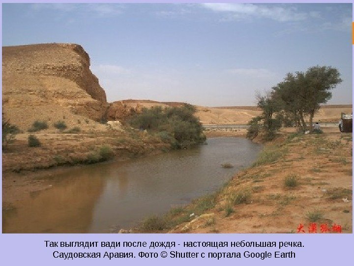 Так выглядит вади после дождя - настоящая небольшая речка.  Саудовская Аравия. Фото ©