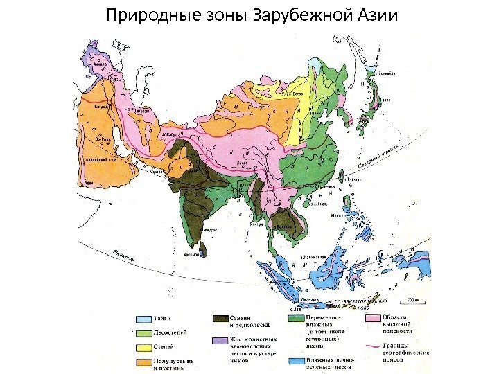 Природные зоны Зарубежной Азии 