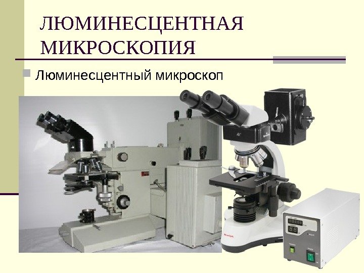 ЛЮМИНЕСЦЕНТНАЯ МИКРОСКОПИЯ Люминесцентный микроскоп 
