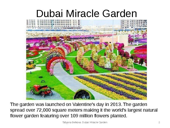 Dubai Miracle Garden The garden was launched on Valentine's day in 2013.  The