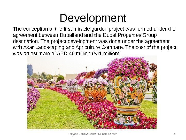 Development The conception of the first miracle garden project was formed under the agreement