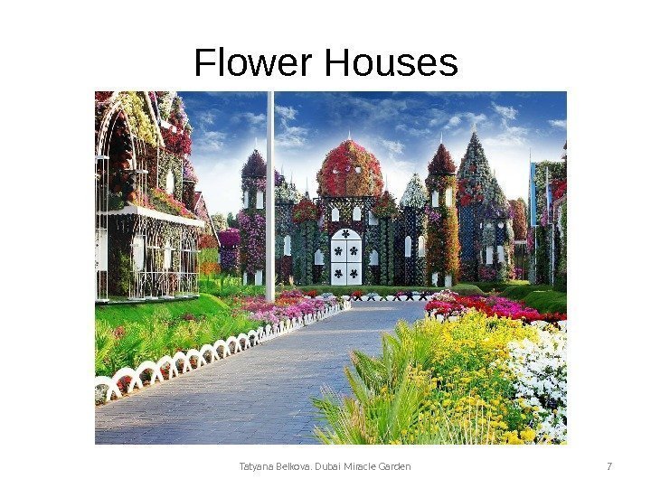 Flower Houses Tatyana Belkova. Dubai Miracle Garden 7 