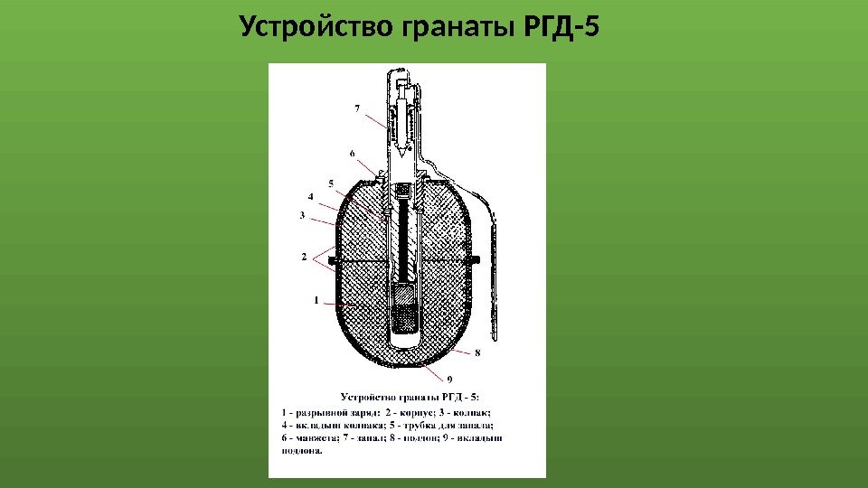 Устройство гранаты РГД-5 
