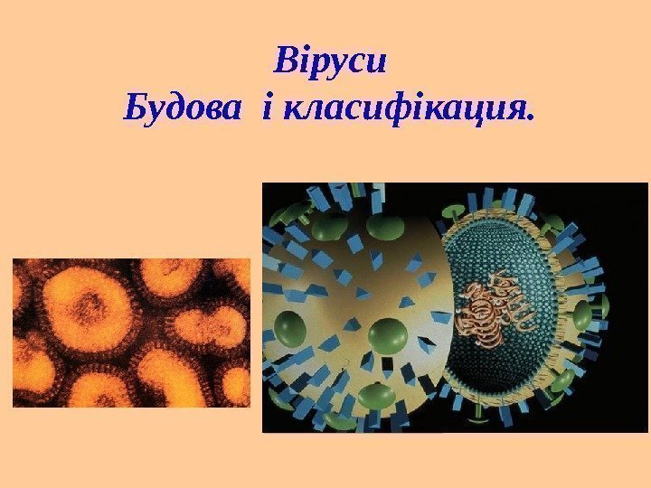 Віруси Будова і класифікация.  