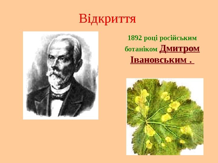 Відкриття 1892 році російським ботаніком Дмитром Івановським.  