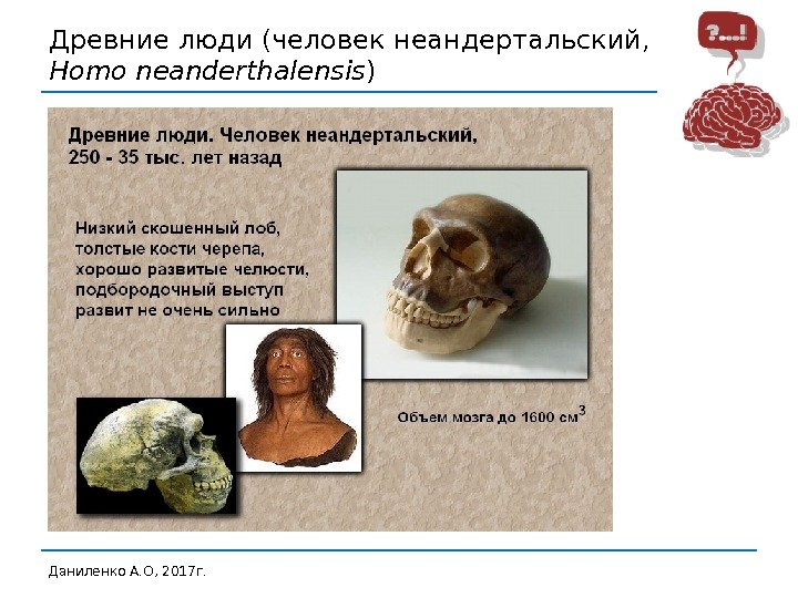Древние люди (человек неандертальский,  Homo neanderthalensis ) Даниленко А. О, 2017 г. 