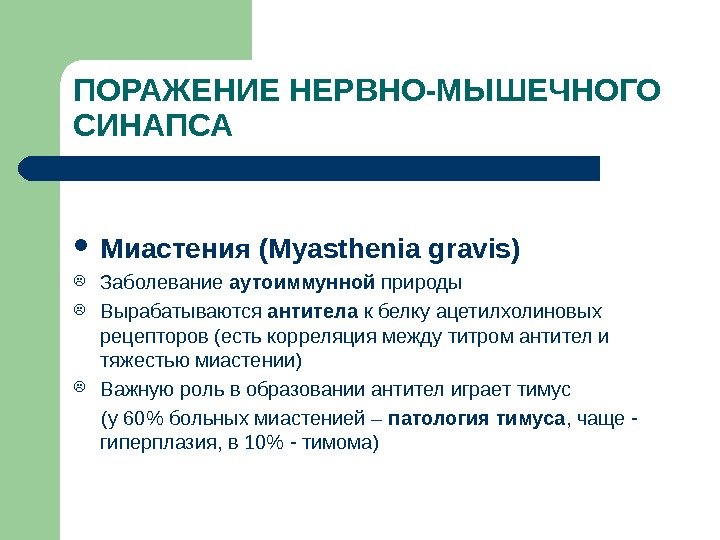 ПОРАЖЕНИЕ НЕРВНО-МЫШЕЧНОГО СИНАПСА Миастения ( Myasthenia gravis) Заболевание аутоиммунной природы Вырабатываются антитела к белку