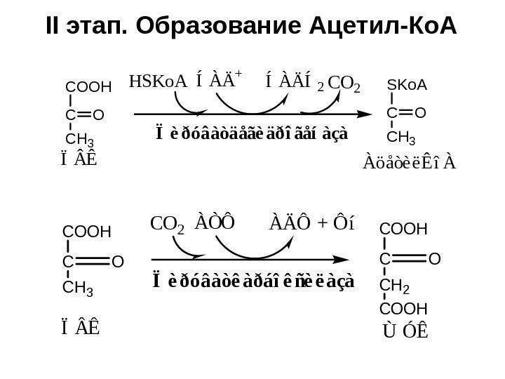 II этап. Образование Ацетил-Ко. АÏèðóâàòäåãèäðîãåíàçà COOH C CH 3 O ÏÊ ÍÀÄ + ÍÀÄÍ2