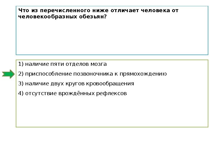 1) наличие пяти отделов мозга 2) приспособление позвоночника к прямохождению 3) наличие двух кругов