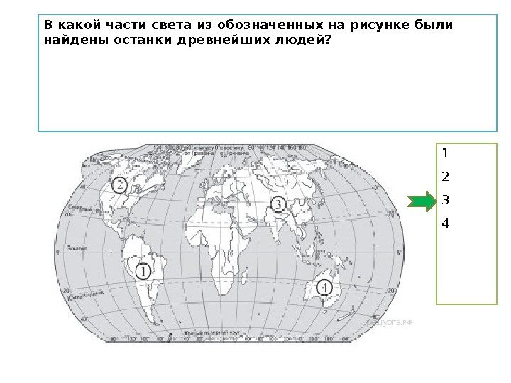 1 2 3 4 В какой части света из обозначенных на рисунке были найдены