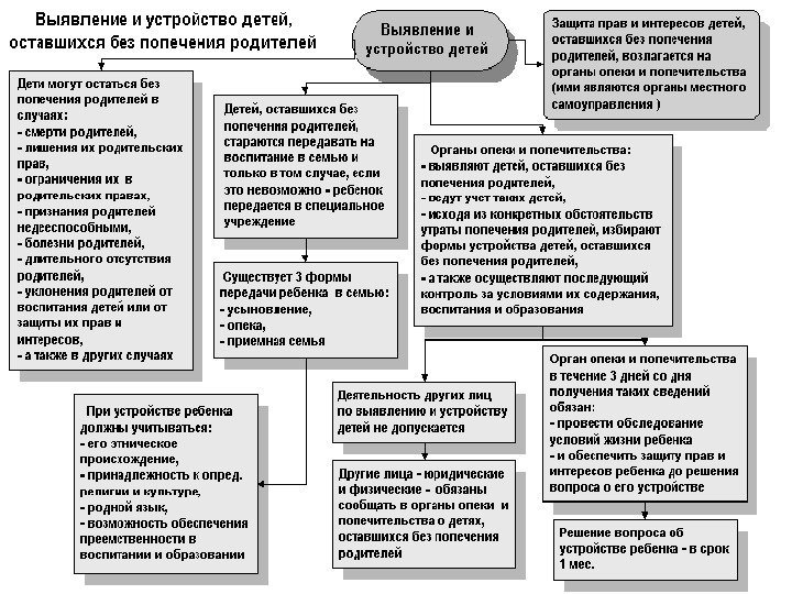 Опека и попечительство в российском праве