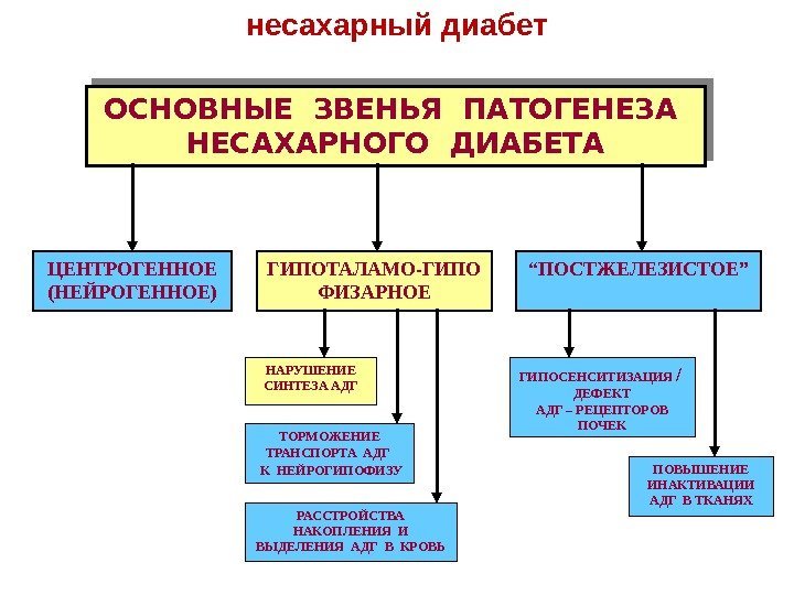 ОСНОВНЫЕ ЗВЕНЬЯ ПАТОГЕНЕЗА  НЕСАХАРНОГО ДИАБЕТА “ ПОСТЖЕЛЕЗИСТОЕ”ГИПОТАЛАМО-ГИПО ФИЗАРНОЕЦЕНТРОГЕННОЕ (НЕЙРОГЕННОЕ) ПОВЫШЕНИЕ ИНАКТИВАЦИИ АДГ В