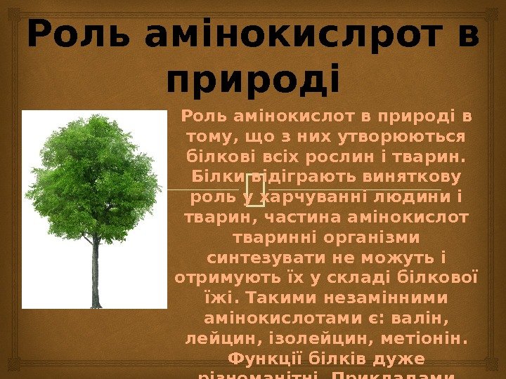 Роль амінокислрот в природі Роль амінокислот в природі в тому, що з них утворюються