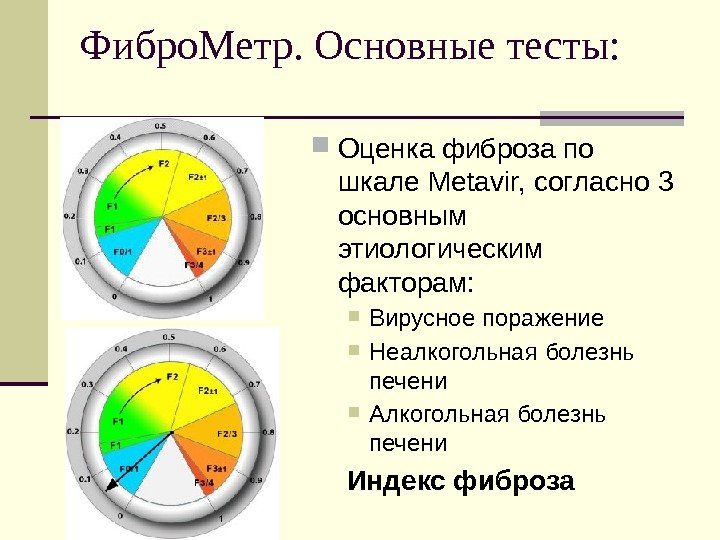 Фибро. Метр. Основные тесты:  Оценка фиброза по шкале Metavir, согласно 3 основным этиологическим