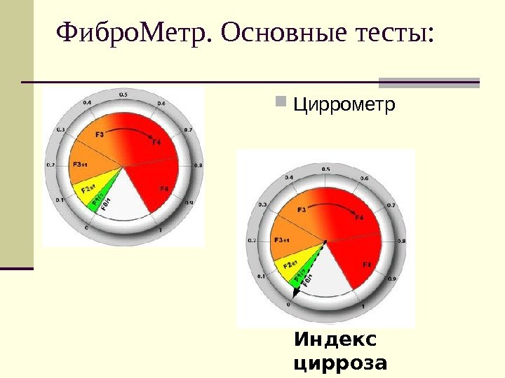 Фибро. Метр. Основные тесты:  Циррометр Индекс цирроза 