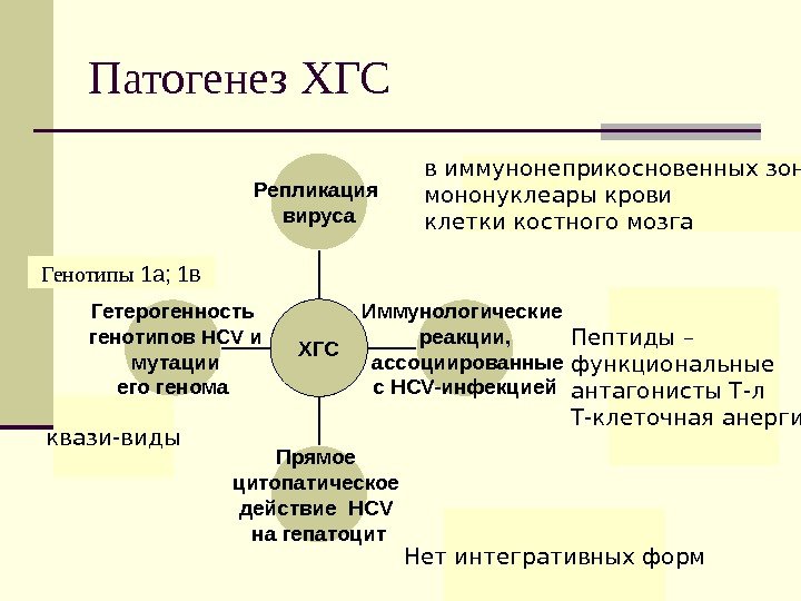 Патогенез ХГС Репликация вируса Иммунологические реакции,  ассоциированные с HCV-инфекцией Прямое цитопатическое действие HCV