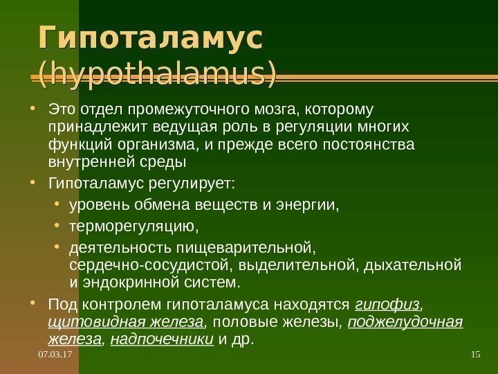 07. 03. 17 15 Гипоталамус  (hypothalamus) • Это отдел промежуточного мозга, которому принадлежит