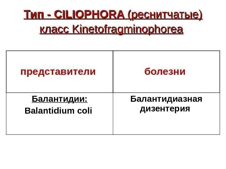   Тип - CILIOPHORA (реснитчатые) класс Kinetofragminophorea  представители  болезни  Балантидии: