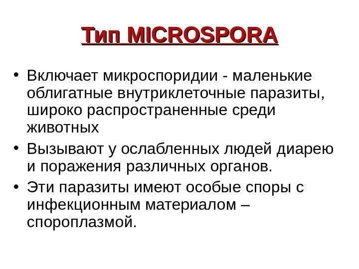   Тип MICROSPORA • Включает микроспоридии - маленькие облигатные внутриклеточные паразиты,  широко