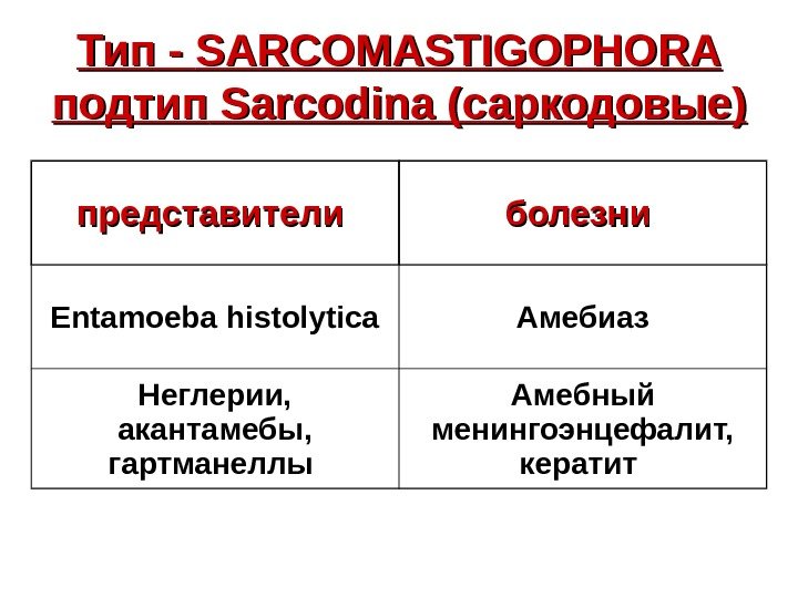   Тип - SARCOMASTIGOPHORA подтип Sarcodina ( саркодовые ))  представители  болезни
