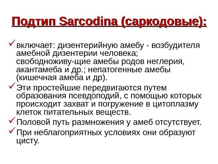   Подтип Sarcodina (саркодовые):  включает: дизентерийную амебу - возбудителя амебной дизентерии человека;